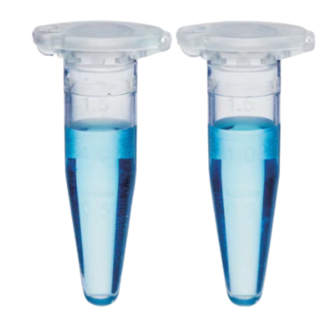 Microtube 0.5ml, naturel, fond conique, non-s (X 500)